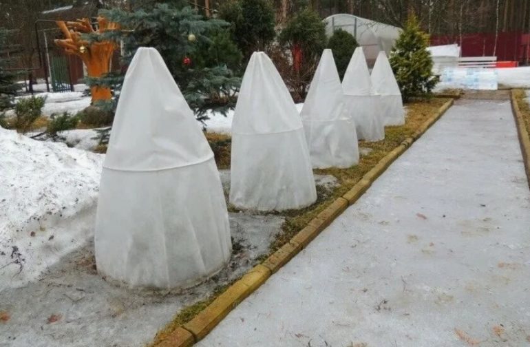 Укрывной материал против заморозков: что реально работает